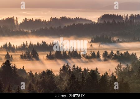 Herbstnebel über den Wäldern, Bad Bayersoien, Oberbayern, Bayern, Deutschland Stockfoto