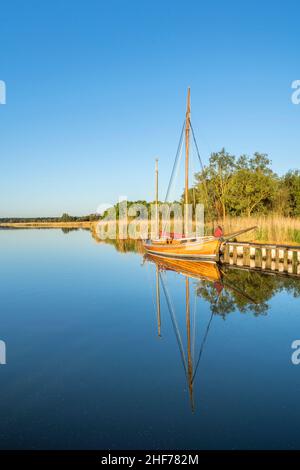 Zeese am Barther Bodden, Pruchten, Mecklenburg-Vorpommern, Deutschland Stockfoto