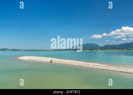 Forggensee vor den Ammergauer Alpen, Rieden am Forggensee, Allgäu, Bayern, Deutschland Stockfoto