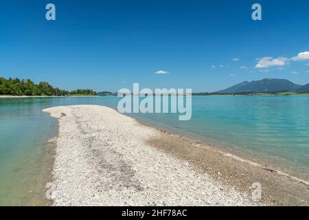 Forggensee vor den Ammergauer Alpen, Rieden am Forggensee, Allgäu, Bayern, Deutschland Stockfoto