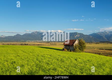 Blick über den Murnauer Moos auf die bayerischen Alpen, Murnau, Oberbayern, Deutschland Stockfoto