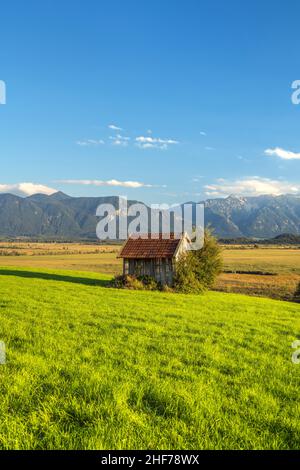 Blick über den Murnauer Moos auf die bayerischen Alpen, Murnau, Oberbayern, Deutschland Stockfoto