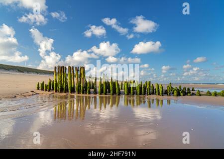 Bei Ebbe vor Rantum, Insel Sylt, Schleswig-Holstein, Deutschland Stockfoto