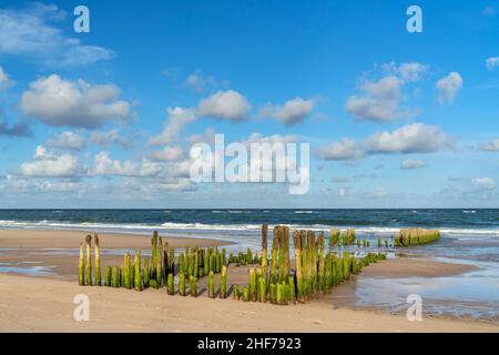 Bei Ebbe vor Rantum, Insel Sylt, Schleswig-Holstein, Deutschland Stockfoto