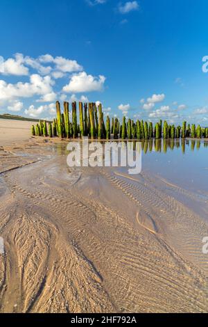 Bei Ebbe vor Rantum, Insel Sylt, Schleswig-Holstein, Deutschland Stockfoto