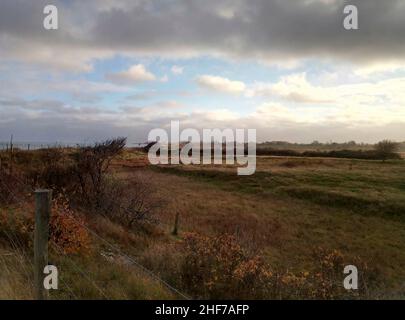 Küstenlandschaft an der Ostsee im Abendlicht. Stockfoto