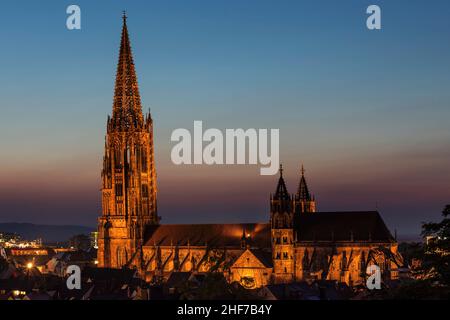 Freiburger Münster, Freiburg im Breisgau, Südschwarzwald, Baden-Württemberg, Deutschland Stockfoto