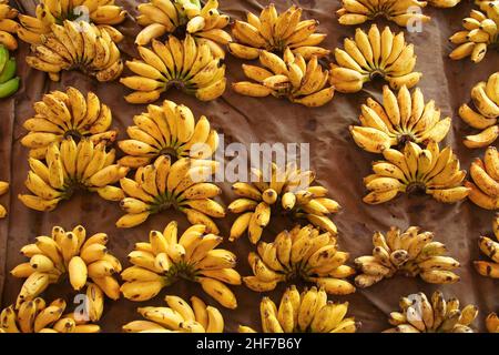 Reife Bananen auf dem Markt in Colombo Stockfoto