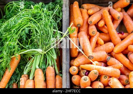 Karotten zum Verkauf an einem Bauernmarktstand Stockfoto