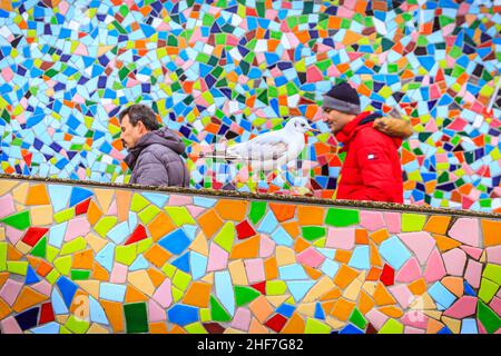 Düsseldorf, NRW, Deutschland. 14th Januar 2022. Eine Gruppe von frechen Schwarzmöwen (Chroicocephalus ridibundus) posieren einen Sturm um die Mosaikwand „Rivertime“ von Hermann-Josef Kuhna am Rheinufer in Düsseldorf, in der Hoffnung, die Aufmerksamkeit der Passanten zu erregen, die sie ernähren könnten. Die Möwen, in ihrem Wintergefieder ohne die dunkle Kopffärbung, warten bekanntlich oft auf einen günstigen Moment, um auf den übriggebliebenen Speisen und Snacks aus den nahe gelegenen Restaurants zu snacken. Kredit: Imageplotter/Alamy Live Nachrichten Stockfoto