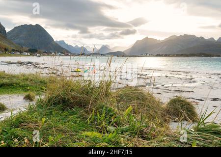 Norwegen, Lofoten, Flakstadøya, Ramberg Beach, Hinterlicht Stockfoto