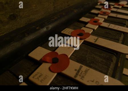 Gedenkmohn auf Holzkreuzen zum Gedenken an den Verlust von Soldaten in Weltkriegen und Konflikten. Symbol des Respekts, damit wir es nicht vergessen, im Gedächtnis Stockfoto