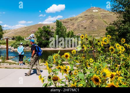 Touristen wandern auf einem mit Sonnenblumen gesäumten Fußweg entlang des Arkansas River, der Innenstadt von Salida, Colorado und den USA Stockfoto