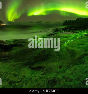 Panorama, Norwegen, Senja Island, Tungeneset, Polarlichter mit Spiegelung auf nassem Fels Stockfoto