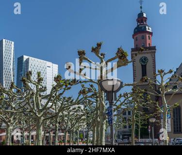 Katharinas Uhrturm-Kirche in Frankfurt Deutschland mit wunderschönen einzigartigen Bäumen in der Vorderseite und Mainhatten European Business Financial Skyscr Stockfoto