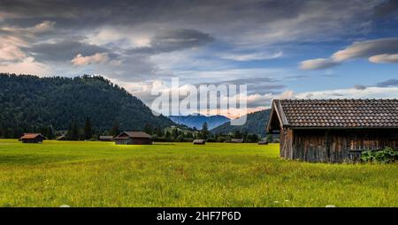 Blick nach Wallgau mit Krepelschrofen, dahinter der Herzogstand, im Vordergrund mehrere Heuschuhen auf grünen Wiesen, Bayern, Deutschland Stockfoto