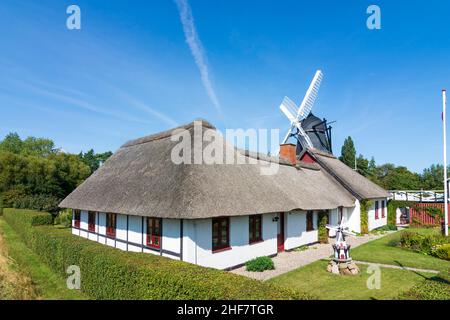 Guldborgsund, Reetdachhaus, Windmühle in Falster, Dänemark Stockfoto