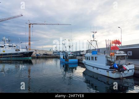 Frederikshavn, Hafen Skagen, Fischerboote in Skagen, Jylland, Jütland, Dänemark Stockfoto