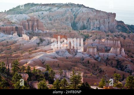 Der Bryce Canyon hoodoos in den ersten Sonnenstrahlen, Utah Stockfoto