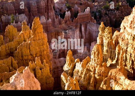 Der Bryce Canyon hoodoos in den ersten Sonnenstrahlen, Utah Stockfoto