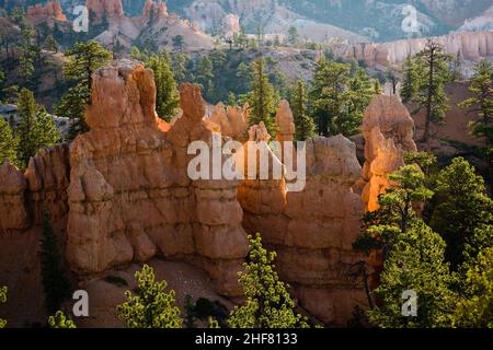 Der Bryce Canyon hoodoos in den ersten Sonnenstrahlen, Utah Stockfoto