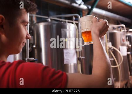 Rückansicht eines männlichen Brauers, der Bierglas hält und die Qualität eines Getränks untersucht Stockfoto