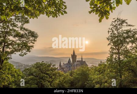 Deutschland, Sachsen-Anhalt, Wernigerode, Schloss Wernigerode am Abend Stockfoto