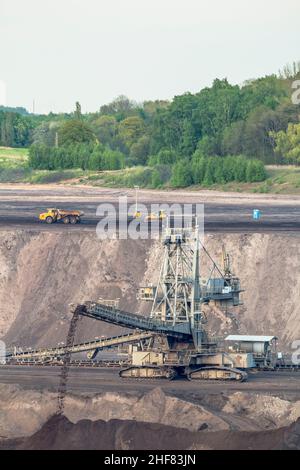 Deutschland, Niedersachsen, Schöningen, Streuer in der ehemaligen Braunkohletagebau Schöningen Stockfoto