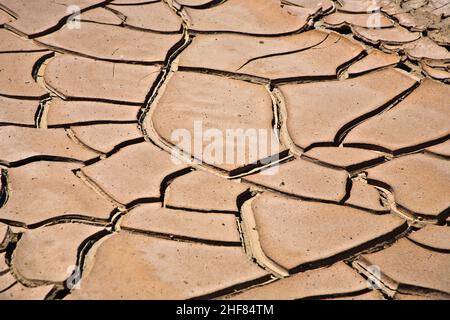 Getrockneter und rissiger Schlamm in der Nähe eines ausgetrockneten Baches im Desert Valley, Nevada Stockfoto