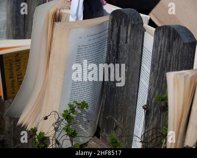 Feuchte Bücher im Gartenzaun, Lufttrocknung Stockfoto