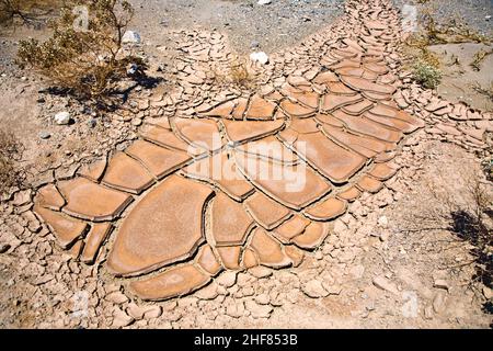 Getrockneter und rissiger Schlamm in der Nähe eines ausgetrockneten Baches im Desert Valley, Nevada Stockfoto