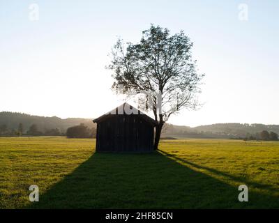 Oberbayern, Hütte, Scheune Stockfoto