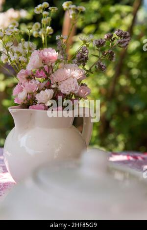 Zarte rosafarbene Rosen, alte Milchdosen, Landleben Stockfoto