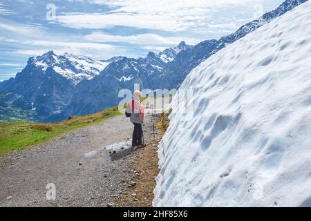 Schneereste auf dem Wanderweg zur Kleinen Scheidegg mit Wetterhorn 3692m, Grindelwald, Berner Alpen, Berner Oberland, Kanton Bern, Schweiz Stockfoto