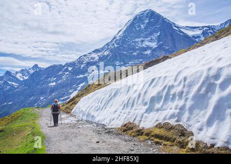 Schneereste auf dem Wanderweg nach kleine Scheidegg mit Eiger 3967m, Grindelwald, Berner Alpen, Berner Oberland, Kanton Bern, Schweiz Stockfoto