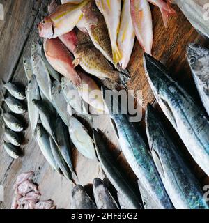 Frischer Fisch und Tintenfisch auf einem Holztisch. Der Fischerkresen. Sri Lanka. Stockfoto