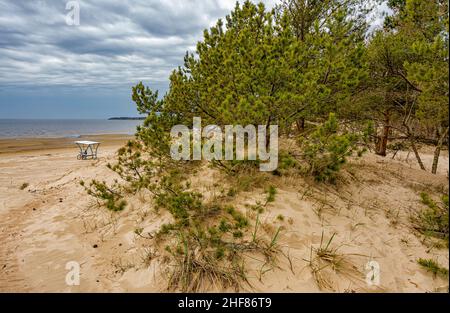 Sanddünen an der Küste des Finnischen Meerbusens in der Region Leningrad in der Nähe der Stadt Sosnovy Bor. Stockfoto