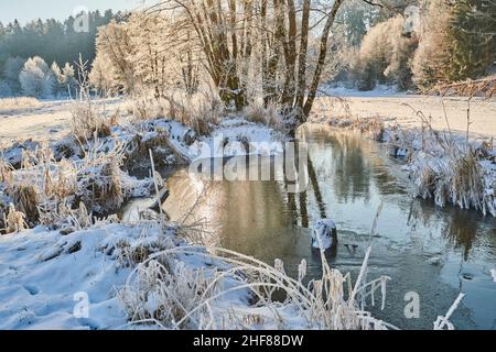 Bach durch eine verschneite Landschaft, Naturpark Fronter Bayersicher Wald, Bayern, Deutschland Stockfoto