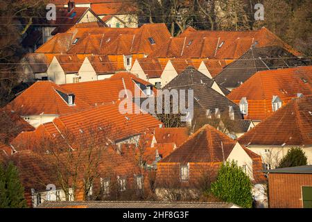 SchŸngelberg Siedlung, ehemalige Kollistensiedlung, SchŸngelbergsiedlung Bergbausiedlung, Kreis Buer, Gelsenkirchen, NRW, Deutschland, Stockfoto