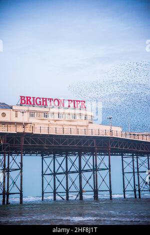 Die Starling Murmeln über Brighton Pier im Frühjahr 2021 an einem bewölkten Tag aufgenommen. Stockfoto