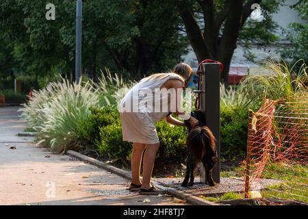 Buenos Aires, Argentinien. 14th Januar 2022. 14. Januar 2022, Stadt Buenos Aires, Stadt Buenos Aires, Argentinien: INT. WorldNews. 14. Januar 2022. Stadt Buenos Aires, Argentinien.- Eine Frau erfrischt ihren Hund am Giordano Bruno Platz, Stadt Buenos Aires, am 14. Januar 2022 während der Hitzewelle in Argentinien. Die heutige Temperatur erreichte 41,2Âº C in Buenos Aires und ist die größte Temperatur seit 1957 (Bild: © Julieta Ferrario/ZUMA Press Wire) Quelle: ZUMA Press, Inc./Alamy Live News Stockfoto