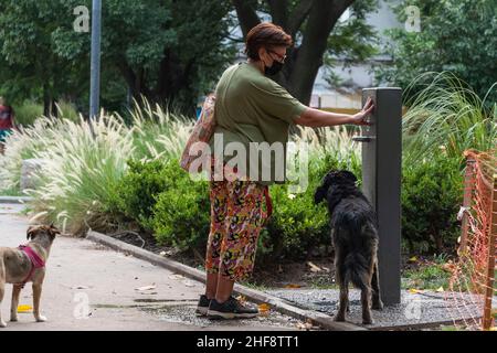 Buenos Aires, Argentinien. 14th Januar 2022. 14. Januar 2022, Stadt Buenos Aires, Stadt Buenos Aires, Argentinien: INT. WorldNews. 14. Januar 2022. Stadt Buenos Aires, Argentinien.- Eine Frau erfrischt ihren Hund am Giordano Bruno Platz, Stadt Buenos Aires, am 14. Januar 2022 während der Hitzewelle in Argentinien. Die heutige Temperatur erreichte 41,2Âº C in Buenos Aires und ist die größte Temperatur seit 1957 (Bild: © Julieta Ferrario/ZUMA Press Wire) Quelle: ZUMA Press, Inc./Alamy Live News Stockfoto