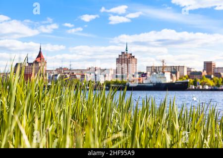 Schöner Blick durch Schilfgras über das Wasser des Warnow-Flusses in Richtung Stadthafen und Stadtbild Rostock im Hintergrund (Kopierraum) Stockfoto