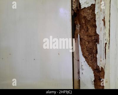 Die Tür funktioniert immer noch, obwohl der Holzrahmen von Termiten gefressen wird Stockfoto