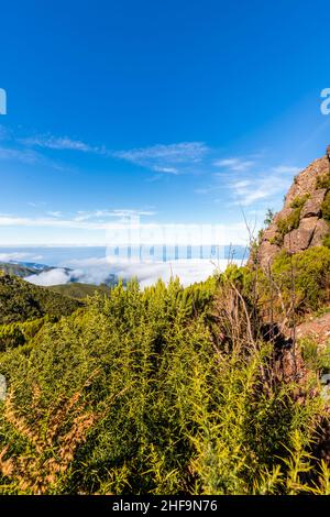 Blick über die Wolken im Berg Achada do Teixeira auf der Insel Madeira an einem Wintertag Stockfoto