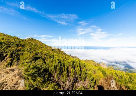 Blick über die Wolken im Berg Achada do Teixeira auf der Insel Madeira an einem Wintertag Stockfoto