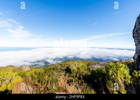 Blick über die Wolken im Berg Achada do Teixeira auf der Insel Madeira an einem Wintertag Stockfoto