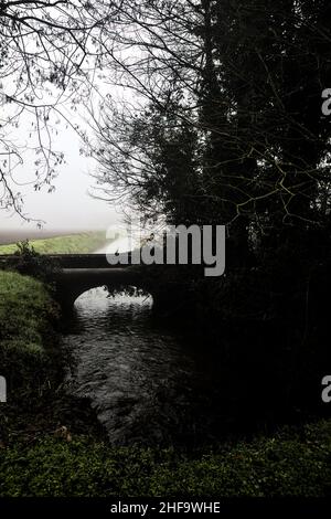 Wasserstrom mit einer Ziegelbrücke zwischen Bäumen an einem nebligen Tag im Winter Stockfoto