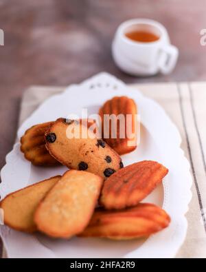 Ausgewählter Fokus schöne Cookies Muschel Madeleine Close-Up auf dem Tisch, Madeleine mit Schokoladenchips Stockfoto