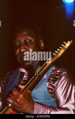 DETROIT, MI - 1979: Muddy Waters (1913-1983) spielt seine Gitarre auf der Bühne um 1979 in Detroit, Michigan. Bild: Ross Marino / Rock Negative / MediaPunch Stockfoto